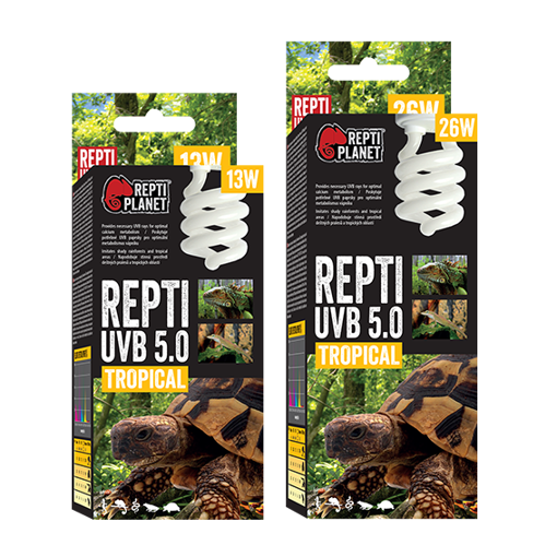 תמונה של נורת UVB קומפקט 5% Repti Planet Tropical