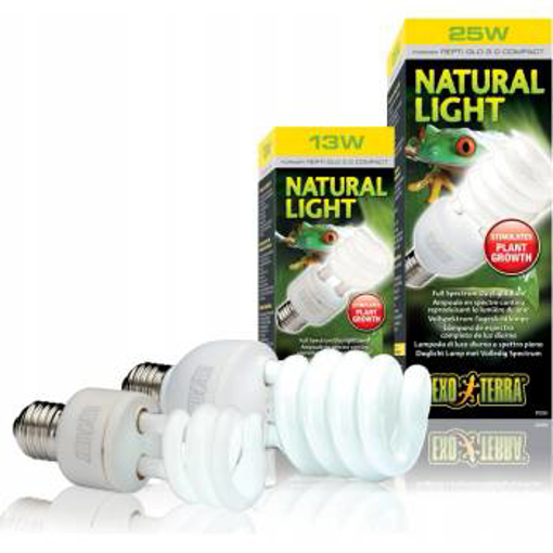 תמונה של נורת קומפקט אור טבעי Exo-Terra Natural Light