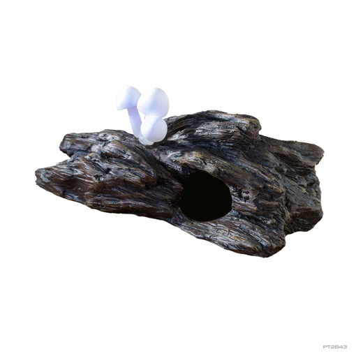 תמונה של בול עץ עם פטריות זוהרות בחושך Exo-Terra Glow Mushrooms
