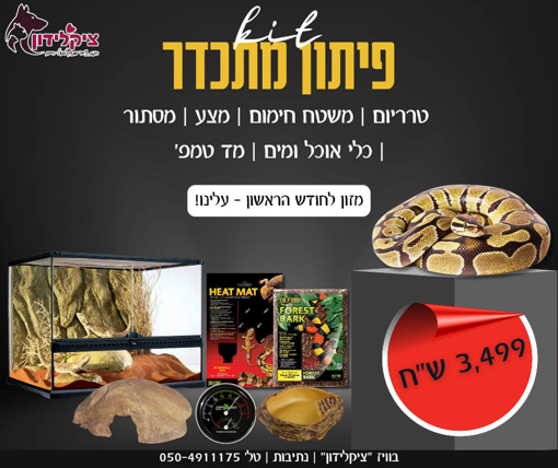 תמונה של פיתון מתכדר מופעי פרימיום + קיט גידול